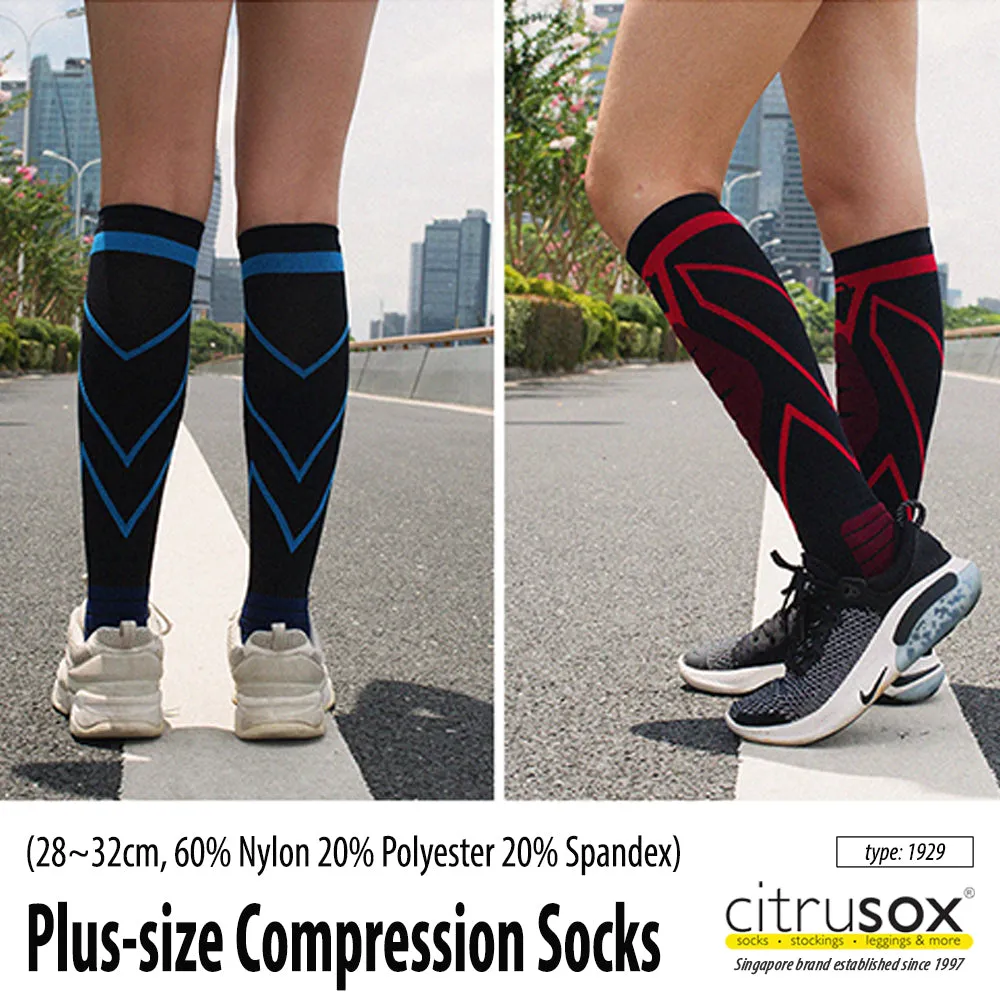 Shin Guard Plus Size Knee Socks